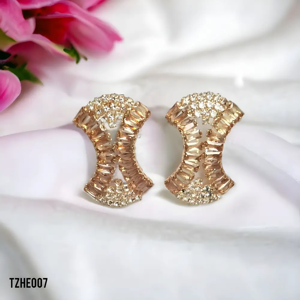 Fancy Zircon Earrings - TZHE007