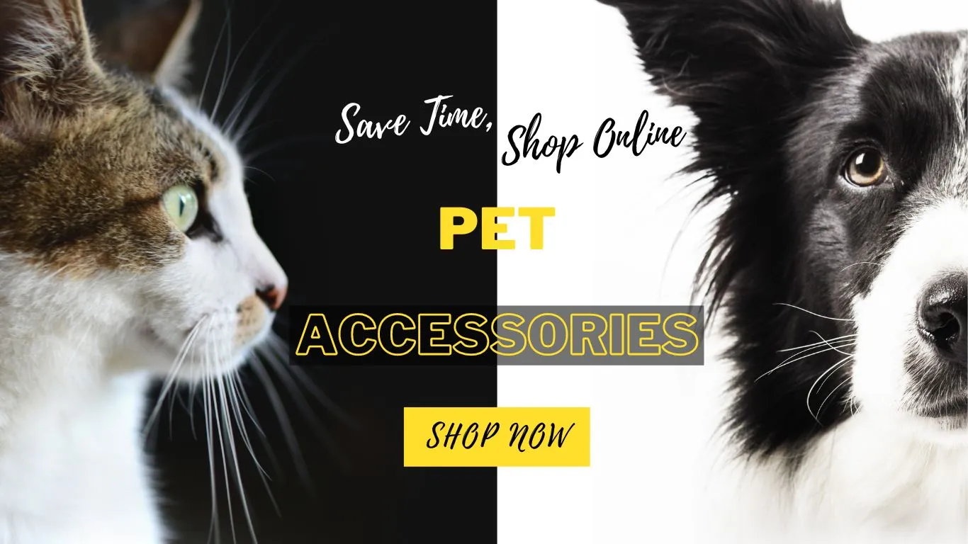 Pet Accessories